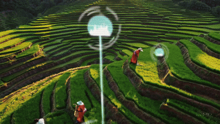 20250629_1527_Future Farming Synergy_simple_compose_01jyxtgqxdfwhr70qk7m5hwa2x